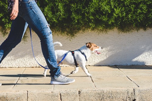 How walking can boost your mental health