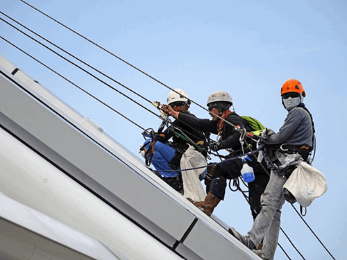 workers using ropes and safety equipment